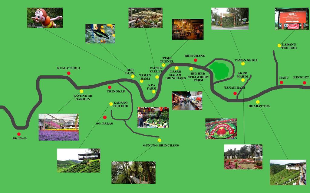 Homestay Cameron Highlands Mikayla 외부 사진